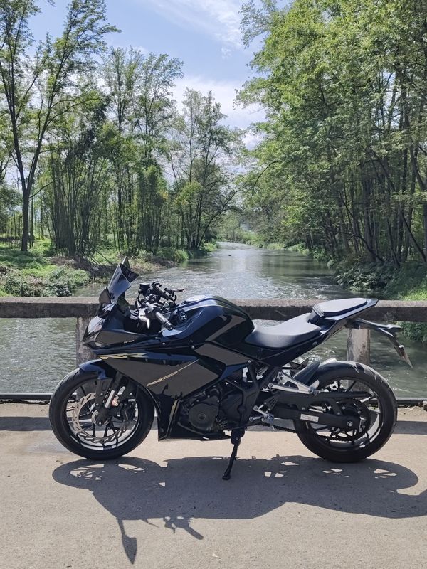 凯越 250RR 刺鸟