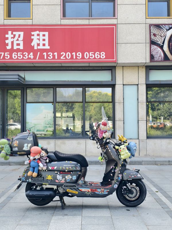 维多利亚 Sixties 300i