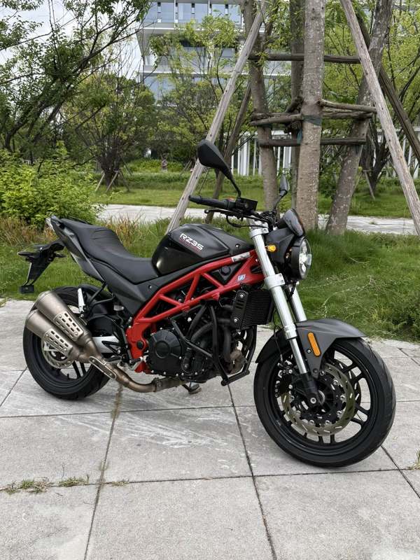 赛科龙 RZ3S