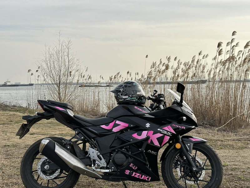 豪爵铃木 GSX250R