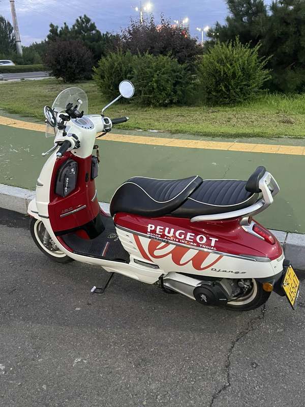 标致 姜戈 Django 150