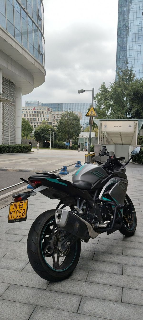 无极 300RR