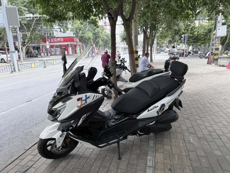 三阳 巡弋 Cruisym250