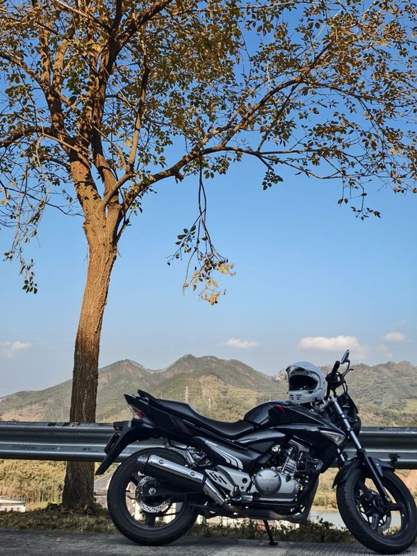 豪爵铃木 骊驰 GW 250F