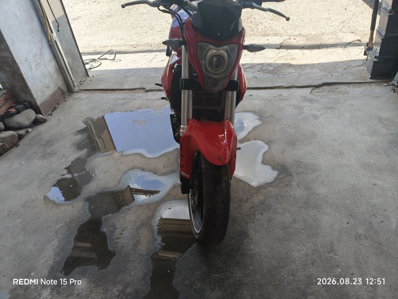 贝纳利 蓝宝龙 BN302S
