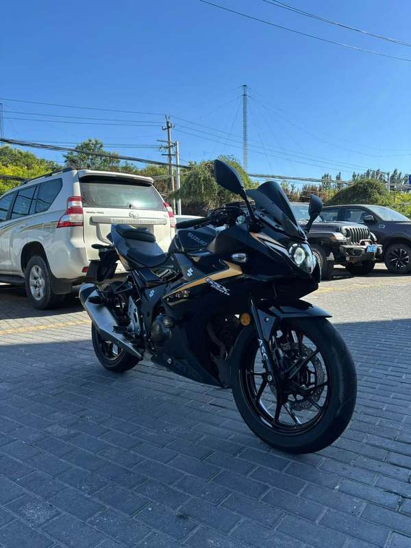 豪爵铃木 GSX250R