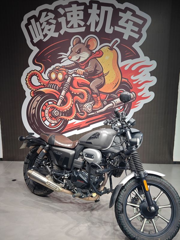 赛科龙 RA2