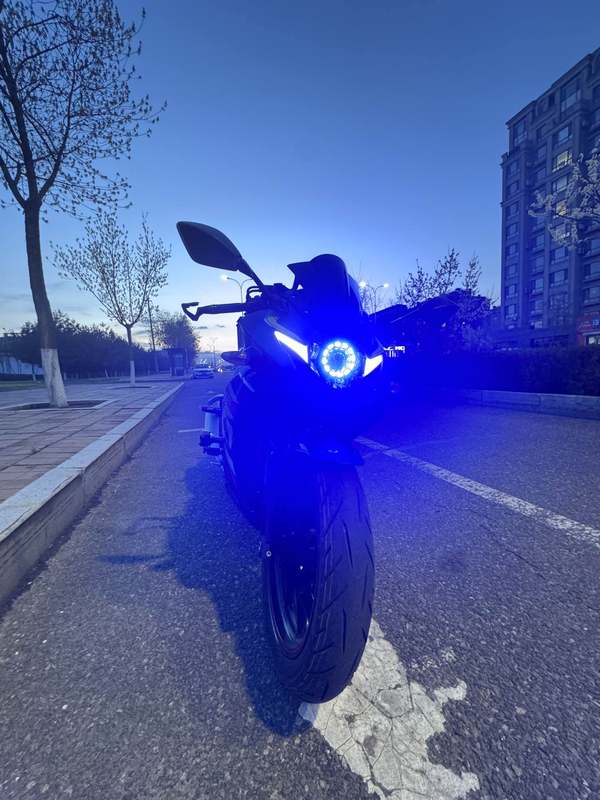 豪爵铃木 GSX250R