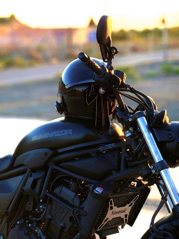 川崎 Eliminator 500