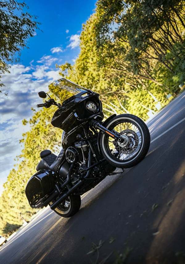 哈雷戴维森 街霸 Street Bob