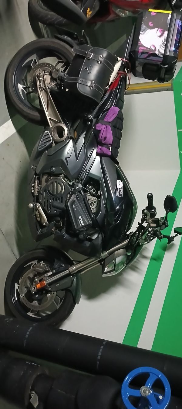 升仕 310V