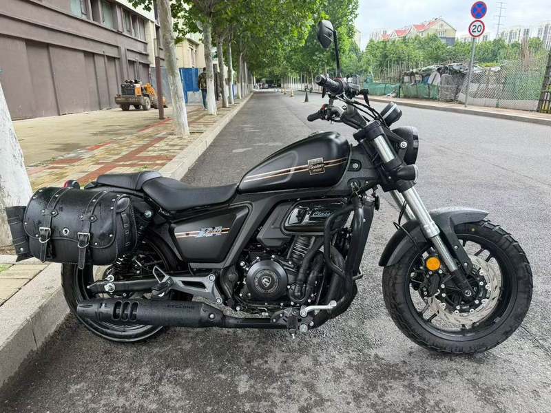 赛科龙 RA401