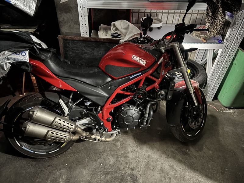 赛科龙 RZ3S
