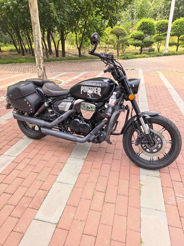龙嘉 V途250