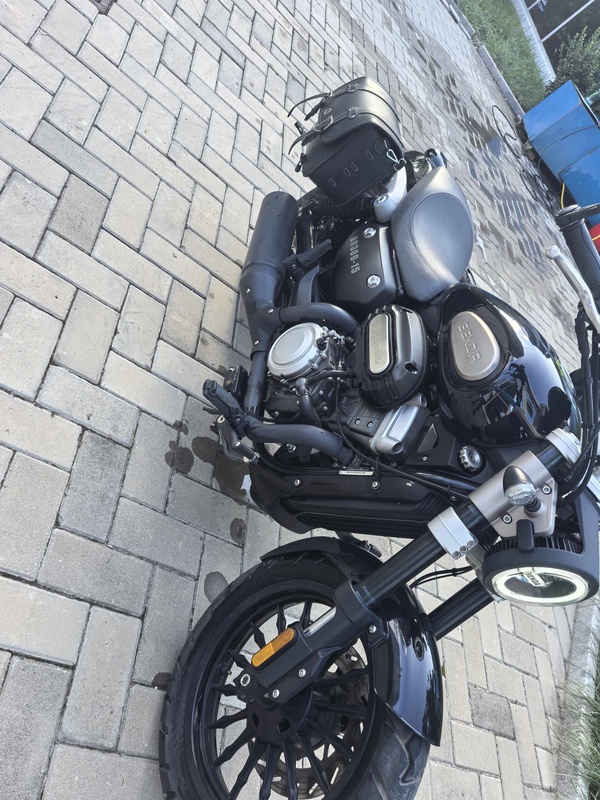 奔达 金吉拉300