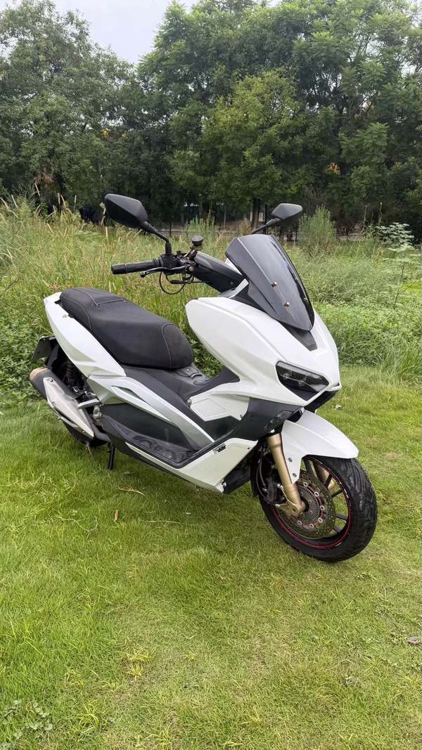 龙嘉 VMAX ie300