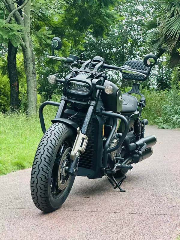 QJMOTOR 闪600