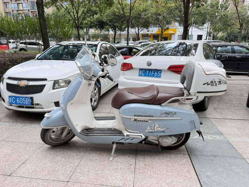 维多利亚 Sixties 300i