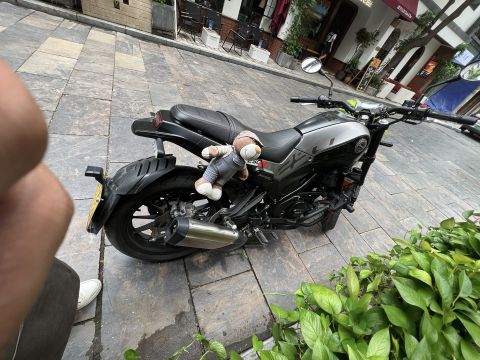 贝纳利 幼狮 Leoncino 250