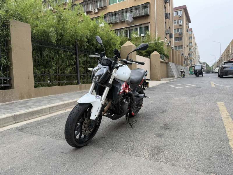 贝纳利 蓝宝龙 BN302S