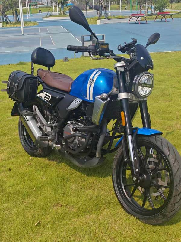 赛科龙 RE250