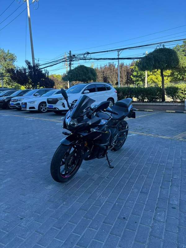 豪爵铃木 GSX250R