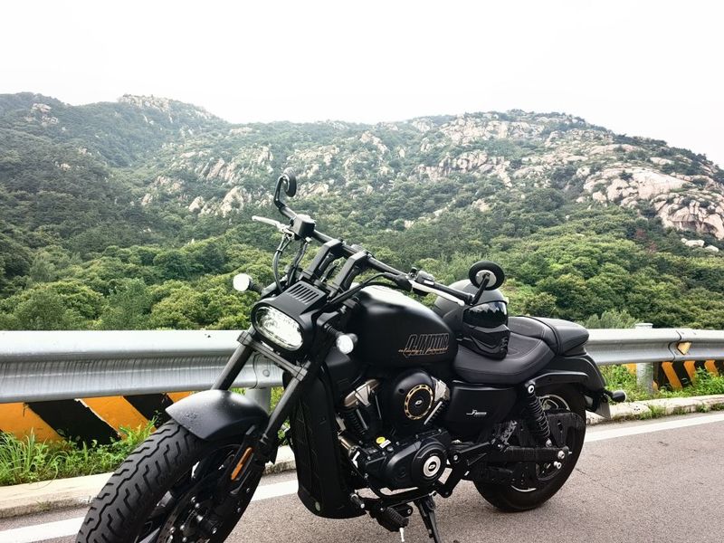 QJMOTOR 闪250