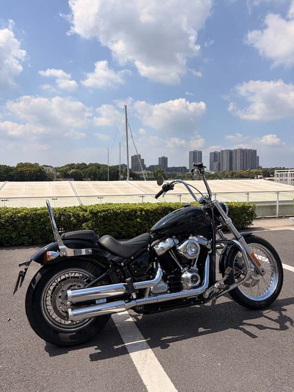 哈雷戴维森 Softail Standard