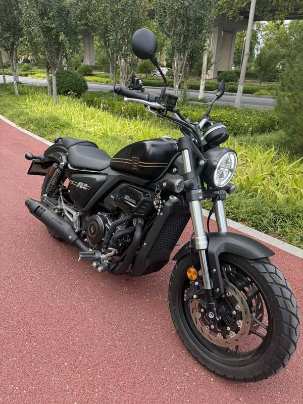 赛科龙 RA401