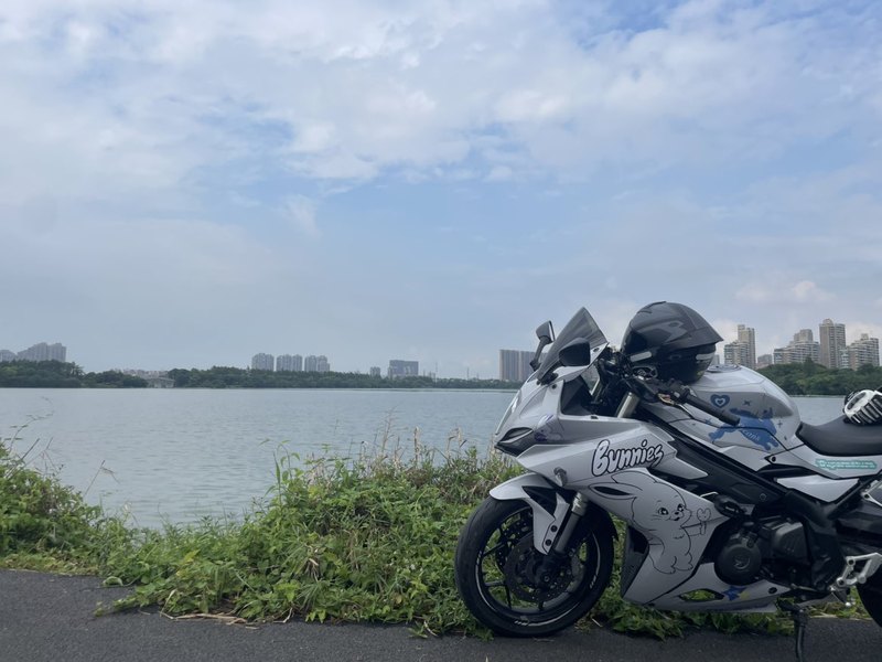 贝纳利 龙卷风 Tornado 302R