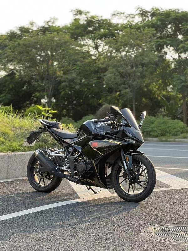凯越 250RR 刺鸟