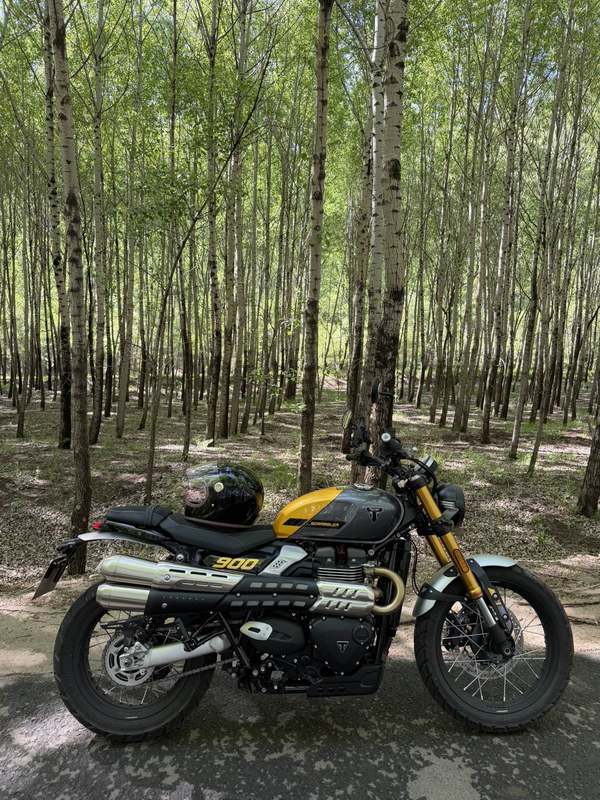 凯旋 Scrambler 900