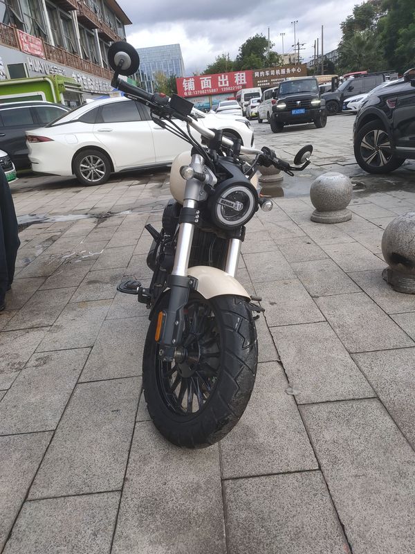 奔达 金吉拉300
