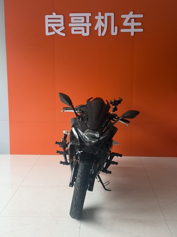 豪爵铃木 GSX250R