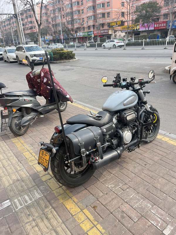 奔达 金吉拉300