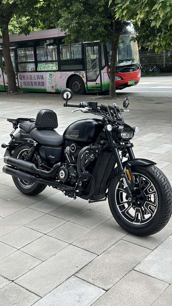 QJMOTOR 闪250