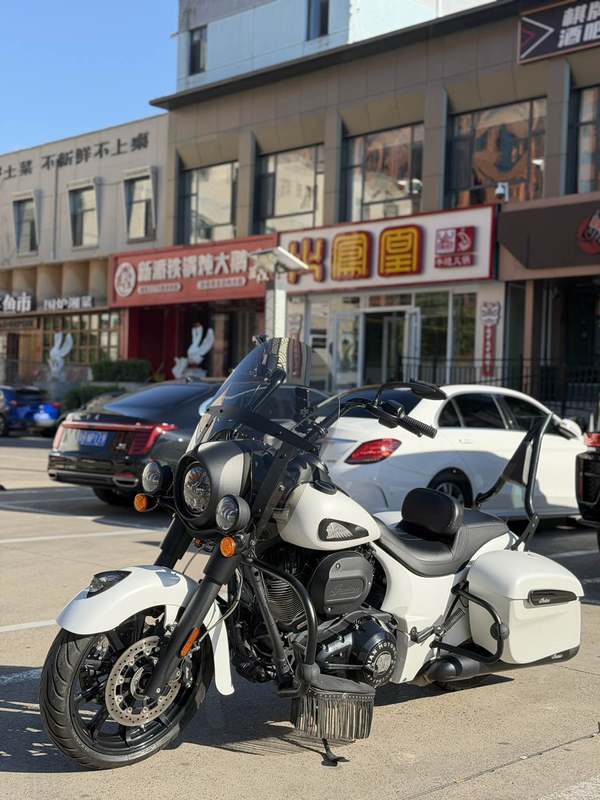 印第安 领地黑马 Springfield Dark Horse