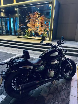 奔达 金吉拉300