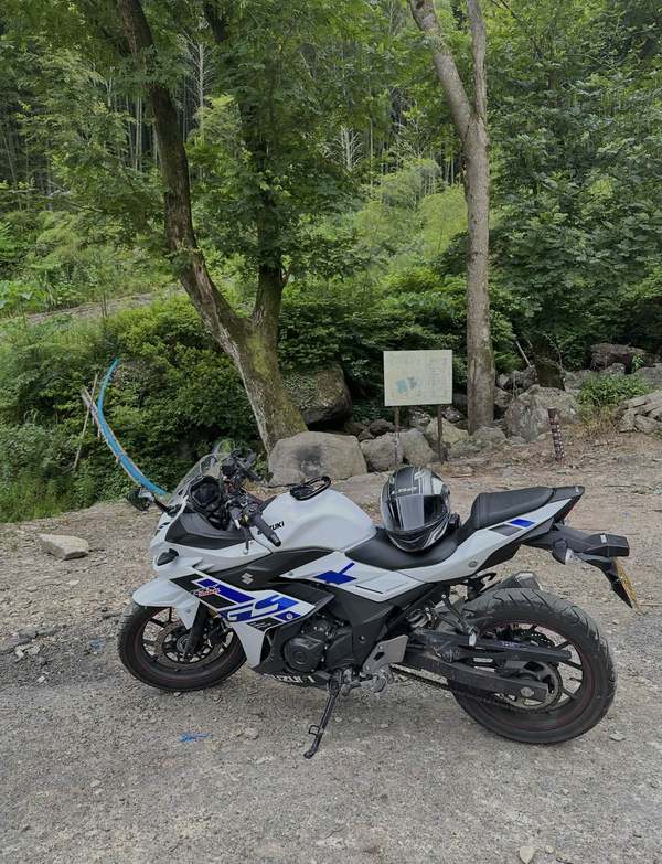豪爵铃木 GSX250R