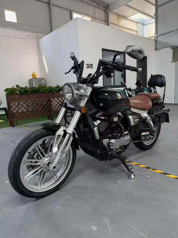 龙嘉 V途250
