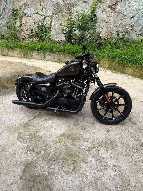 哈雷戴维森 Iron883 硬汉