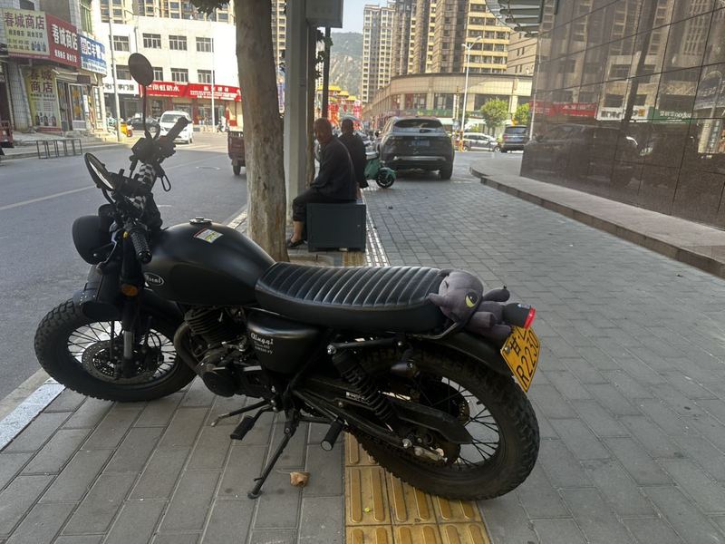 骁胜HYOSUNG U侠 大脚攀爬者