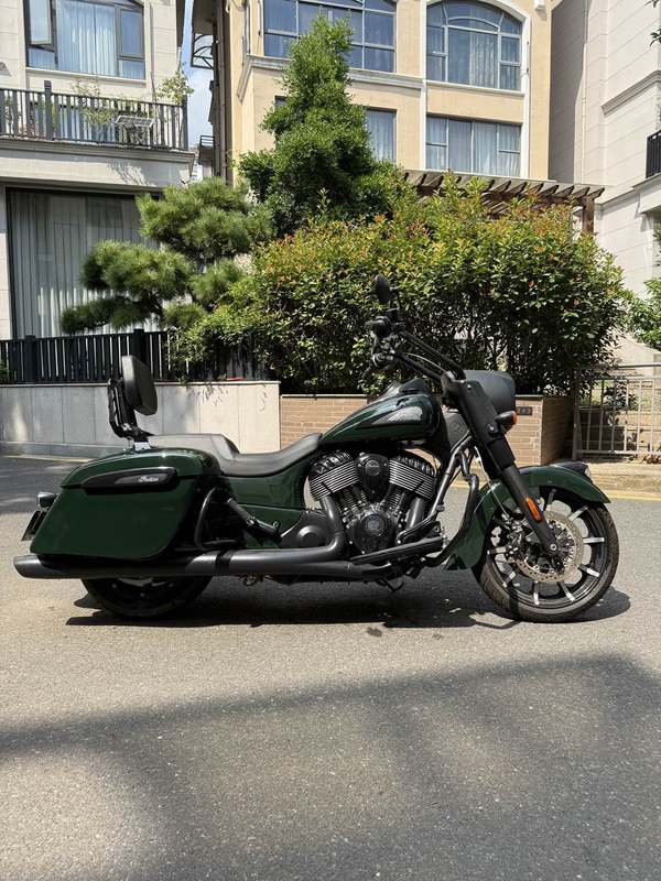 印第安 领地黑马 Springfield Dark Horse
