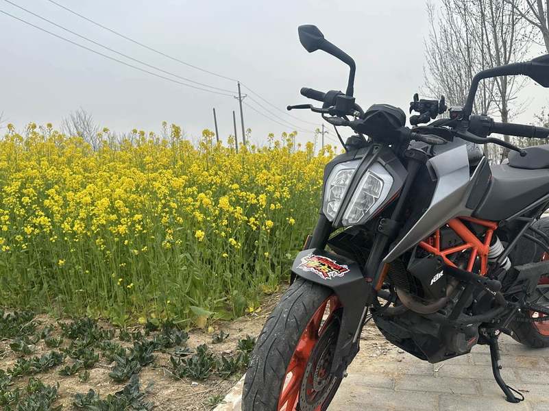 KTMR2R 250 Duke