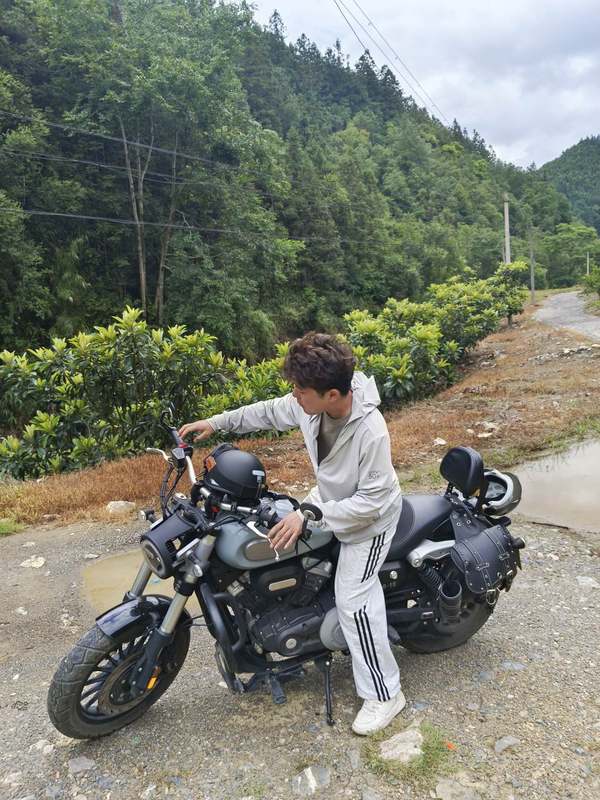 奔达 金吉拉300
