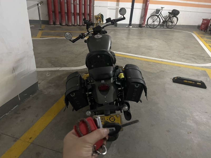 奔达 金吉拉300
