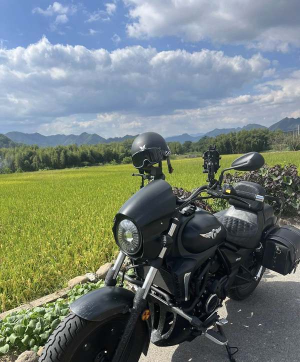 豪爵 TR300
