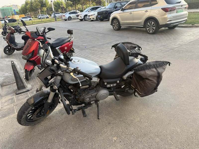奔达 金吉拉300