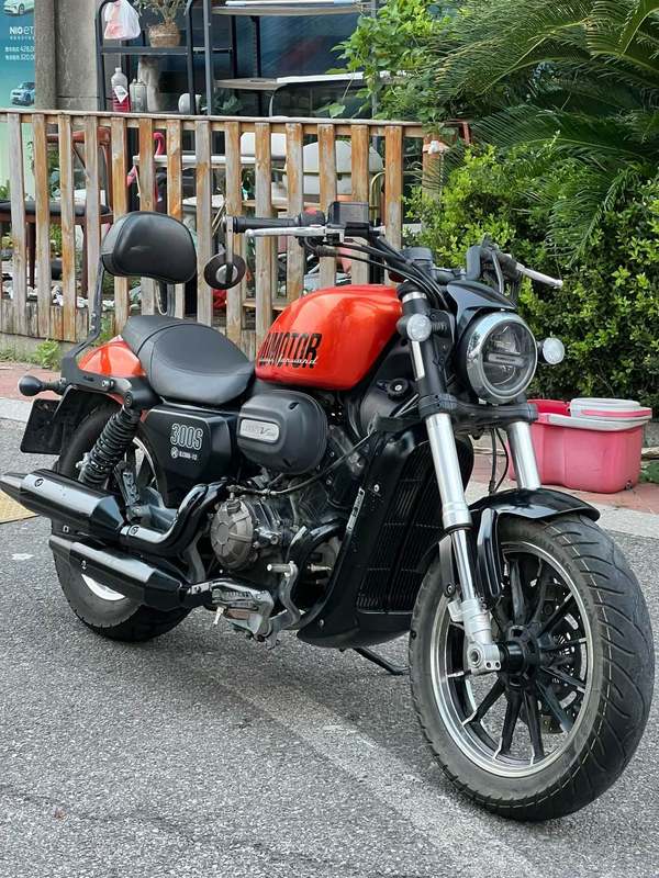 QJMOTOR 闪300S