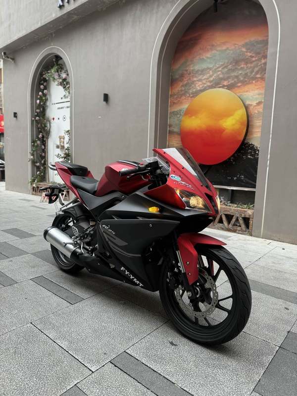 飞鹰 R25